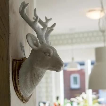 Polly Σπίτι διακοπών Dornum